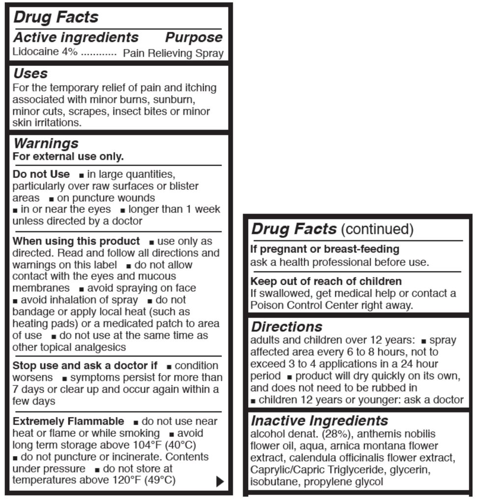 Bactine MAX Pain Relieving Cleansing Spray & Liquid